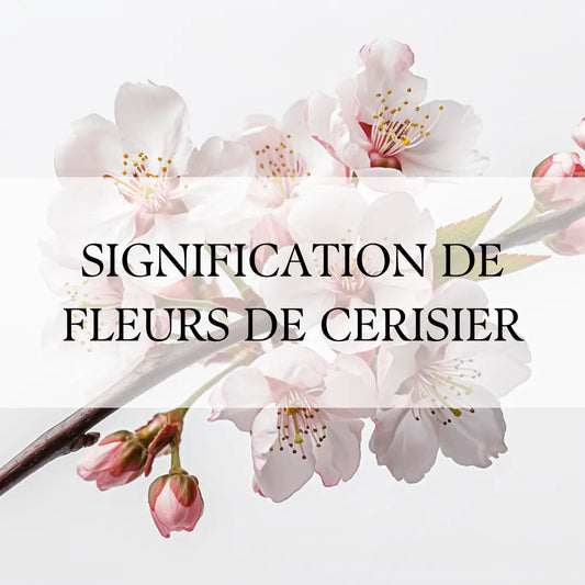 Fleur de Cerisier: Un Symbole de Renouveau et de Réussite