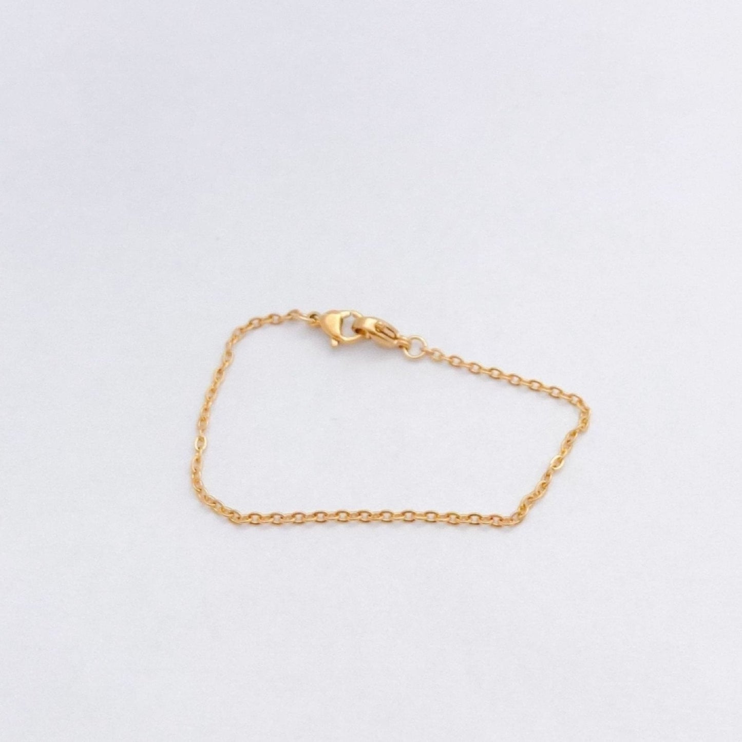 Bracelet chaine inoxydable double fermoirBraceletsLorred