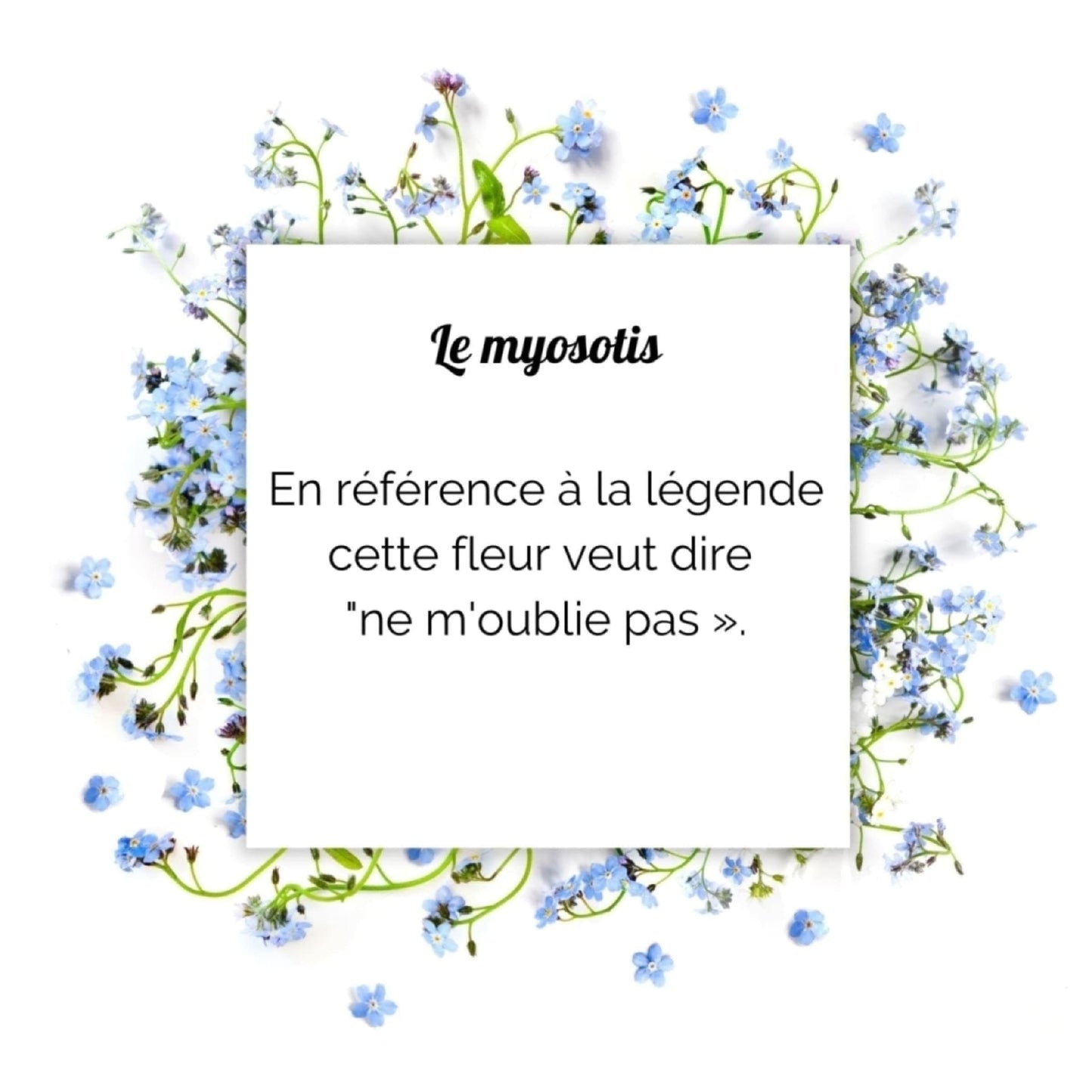 Collier trio de myosotis argentéColliersLorred