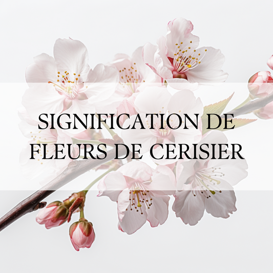 Fleur de Cerisier : Un Symbole de Renouveau et de Réussite