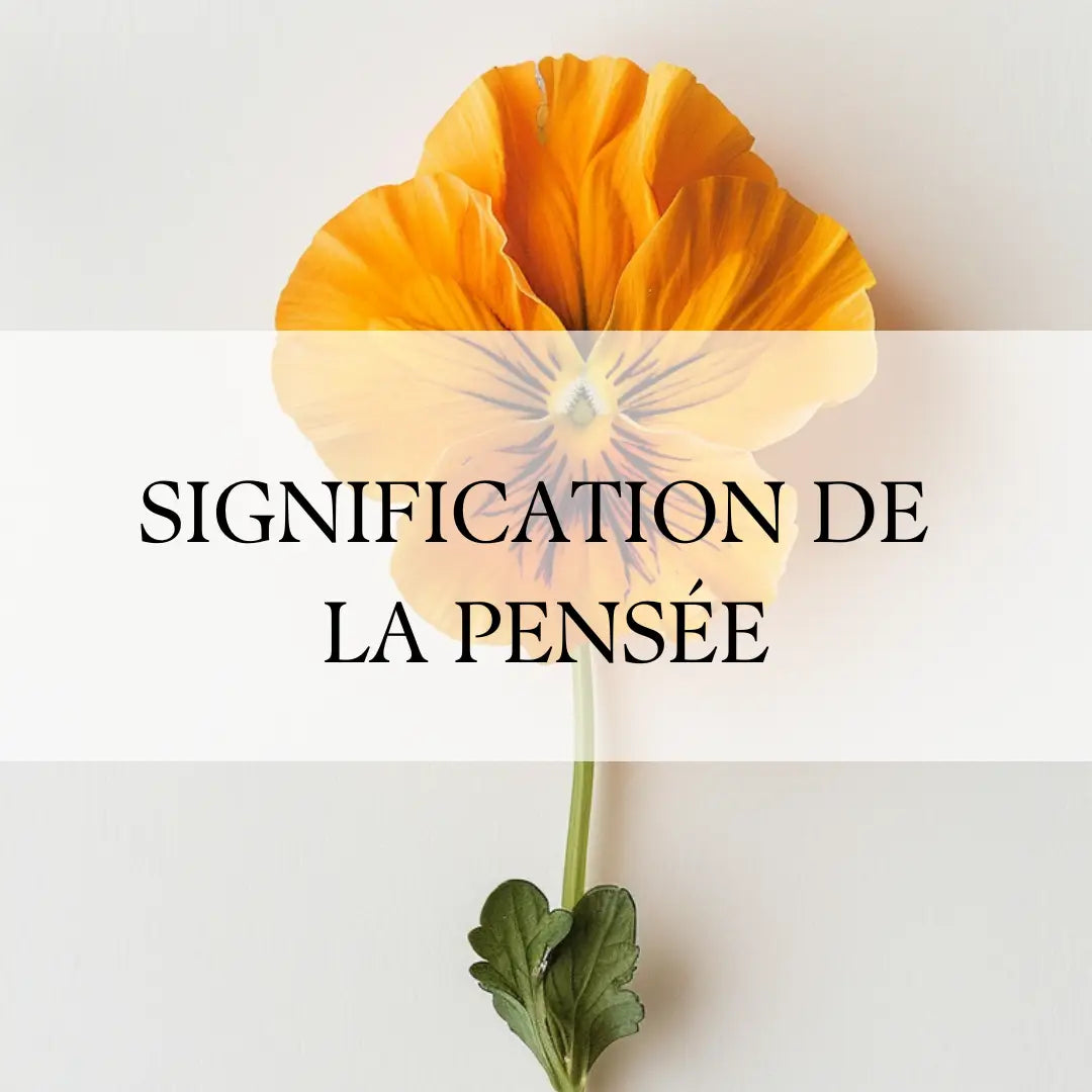 Pensées Colorées: Plongée dans la Symbolique de la Fleur