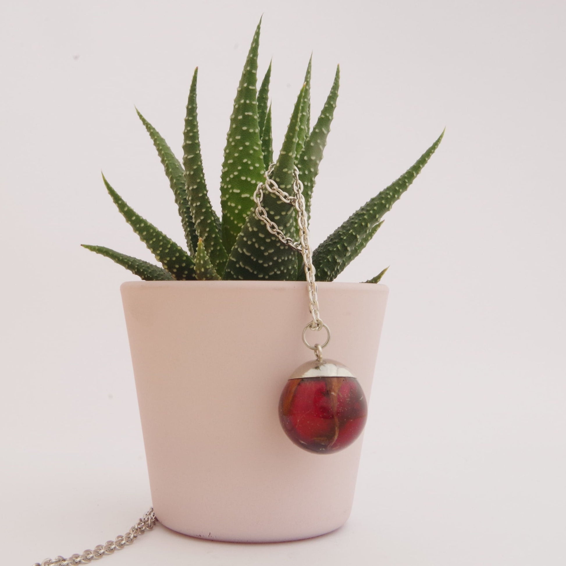 Ensemble de bijoux de terrarium rose rouge avec collier de fleurs pressées, bracelet, boucles d'oreilles et bague, cadeau de Noël pour elle - Lorred